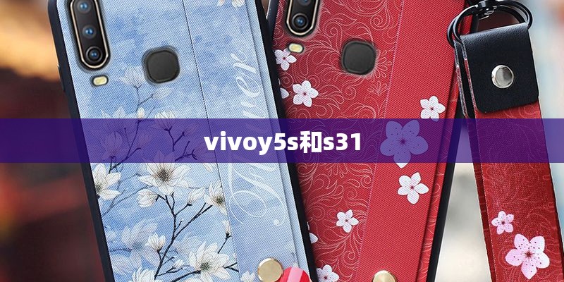 vivoy5s和s31