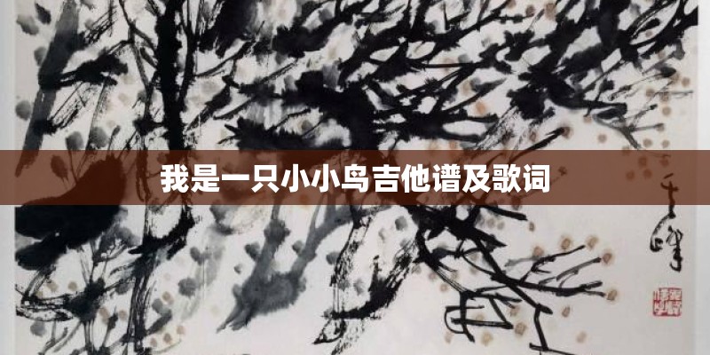 我是一只小小鸟吉他谱及歌词