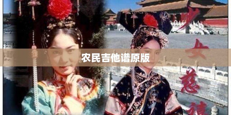 农民吉他谱原版