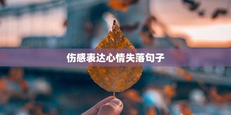 伤感表达心情失落句子