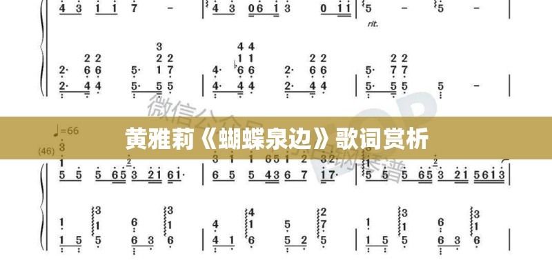 黄雅莉《蝴蝶泉边》歌词赏析